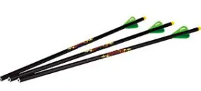 Excalibur Diablo 18" Carbon Arrows With Illuminated Nocks