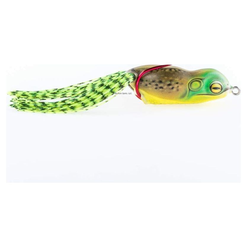 Scum Frog Launch Frog Bullfrog