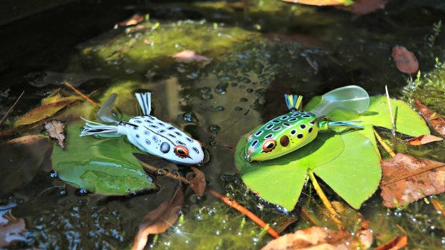 Fishing Frogs – Top Lures for Topwater Fishing – OffGrid Fishing & Hunting