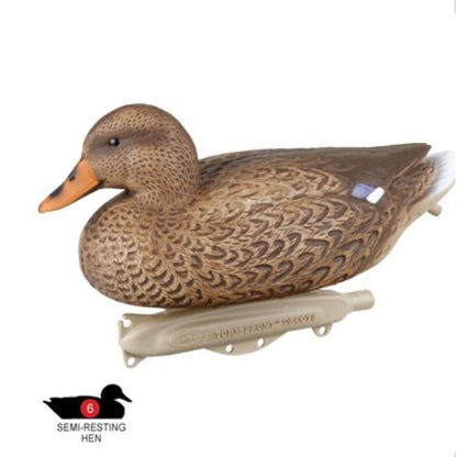 Storm Front Classic Mallard 12 / Pkg