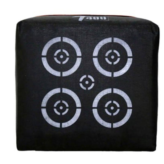 ZT3 T400 Cible 24 x 24