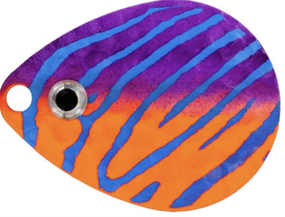 Whizkers Walleye Rig – Tiger Minnow, #2