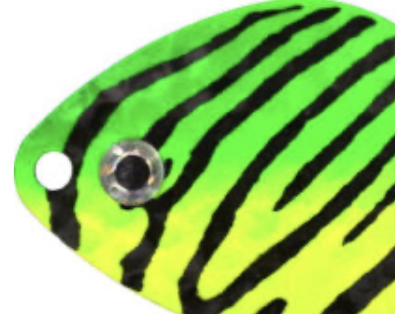 Whizkers Walleye Rig – Tiger Minnow, #2