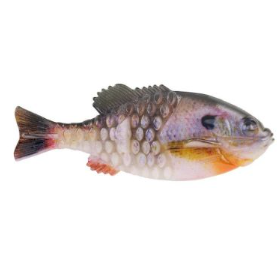 Berkley Powerbait HD Tru Colour Gilly 90mm HD Bluegill