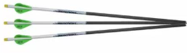 Excalibur Proflight 20" Arrows With Illuminated Nocks