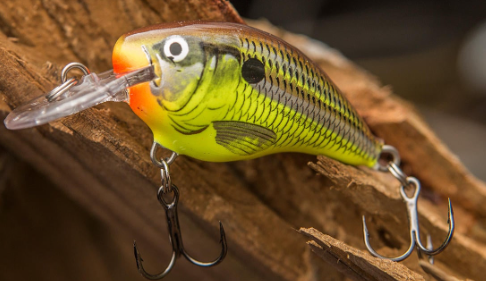 Rapala DT-4 Crankbait