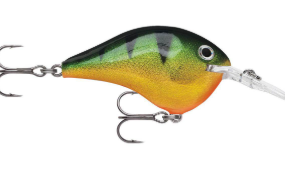 Rapala DT-4 Crankbait