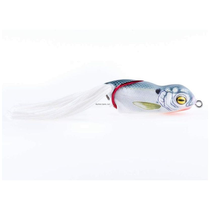 Scum Frog Launch Frog Shad